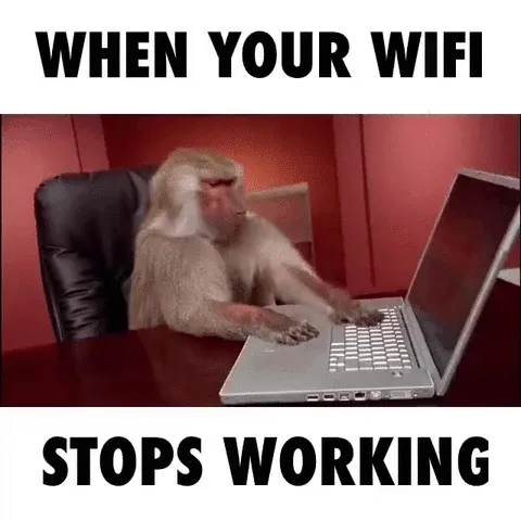 Monkey trying to get the notbook working