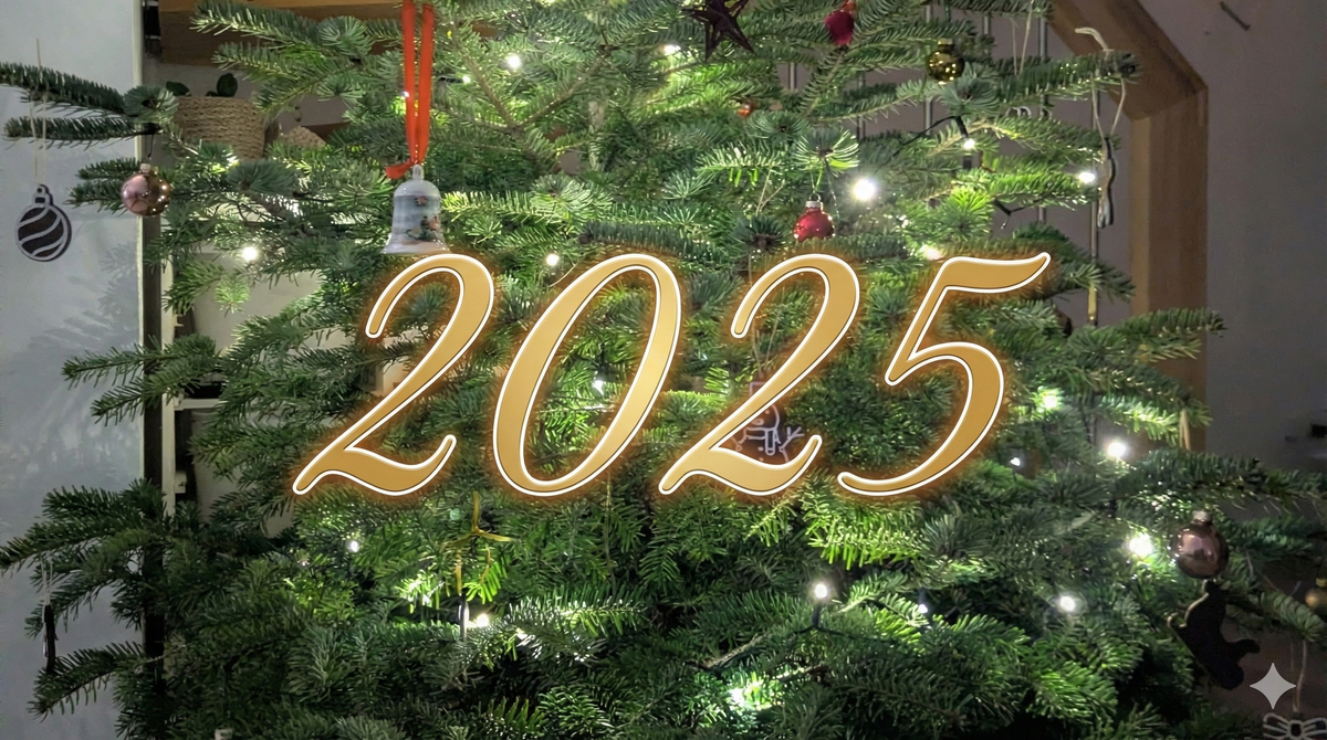 2025 Review
