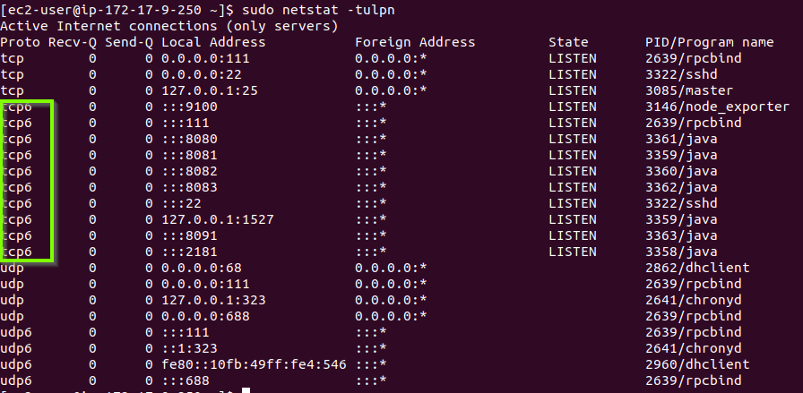 Netstat shows tcp6 on ipv4 only host