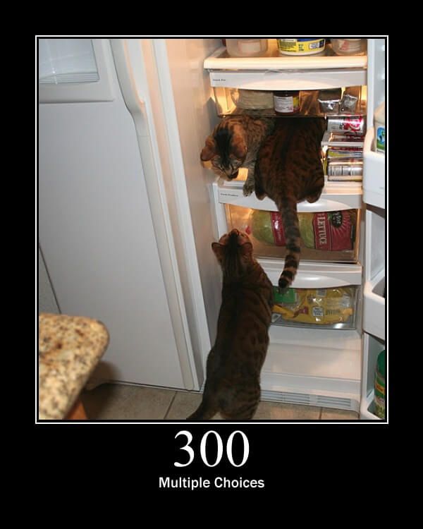 3 cats in and before a fridge explains the HTTP status code 300 - Multiple Choices
